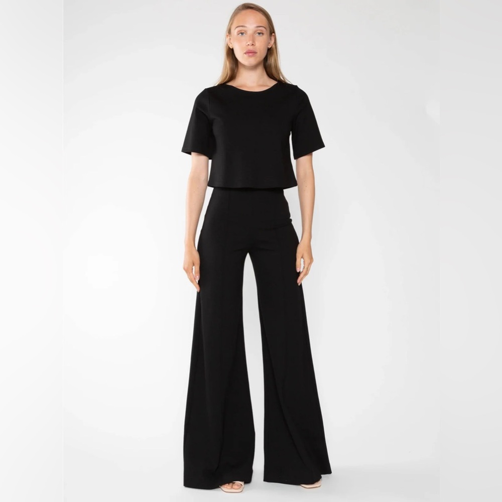 Ripley Rader BLACK PONTE KNIT WIDE LEG PANT sz 2